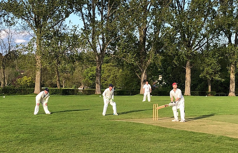 cricket