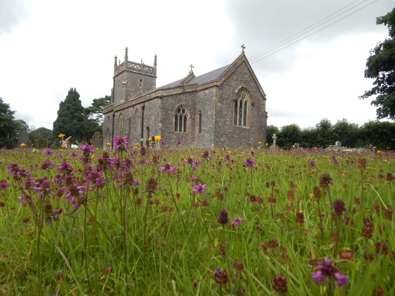 Priddy Churchyard uncut 2